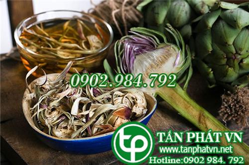 phân phối Hoa atiso Trị viêm gan Chất Lượng Toàn Quốc phân phối Hoa atiso Trị viêm gan Chất Lượng Toàn Quốc